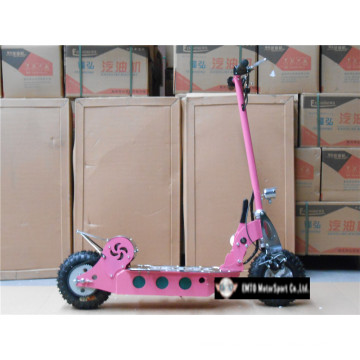 Scooter eléctrico adulto plegable de 500W 800W 1000watts Et-Es15